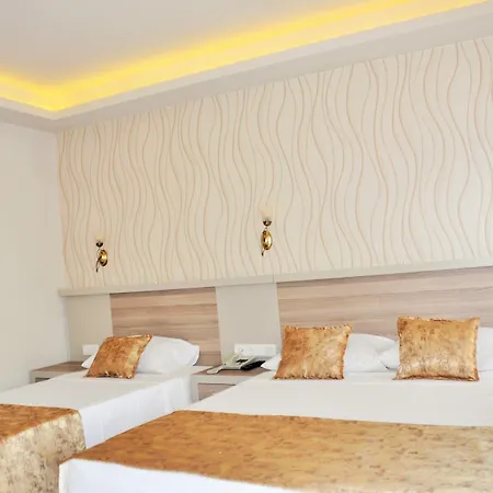 سيرين ساري 3*