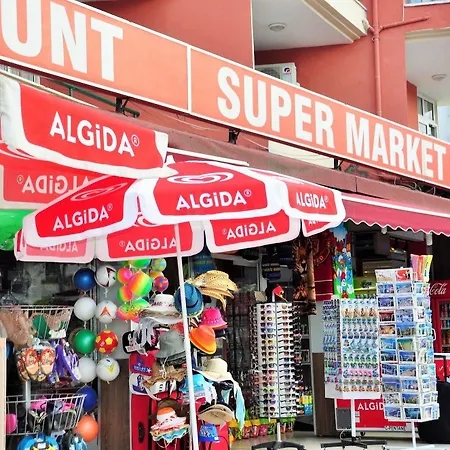 سيرين ساري 3*